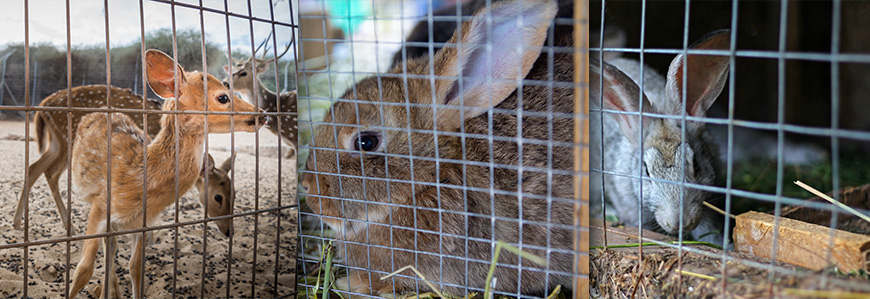 14 gauge, 2"x4" mesh 14 gauge, 2"x4" mesh