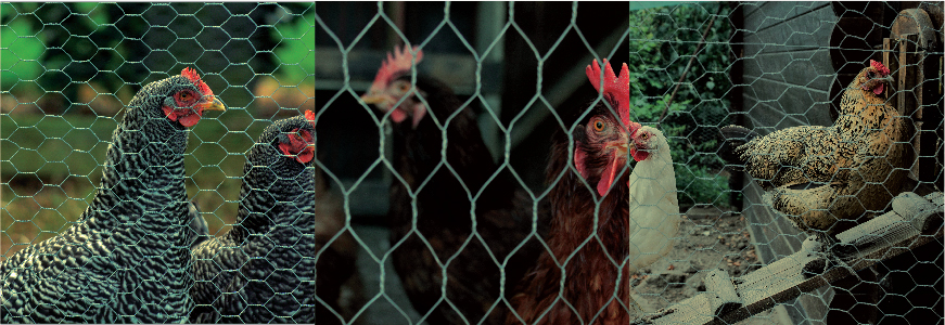 Vinyl Coated Vinyl Coated